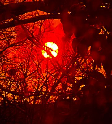 Coucher de soleil rouge de février