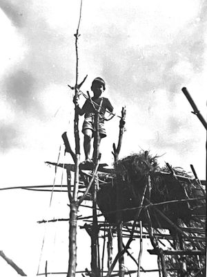 27, 29 31 oct et 1, 2 nov 1964 Construction du refuge. 19 ans de Chantal