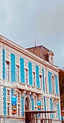 IMG_6977.jpeg