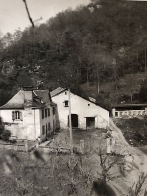 IMG_7840.jpeg