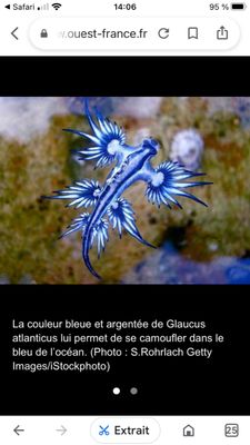 IMG_8109.png