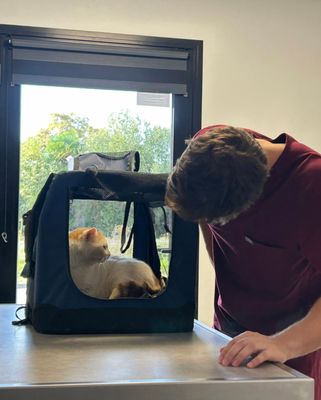 Jérôme le SnobCat
