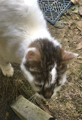 IMG_8577.jpeg