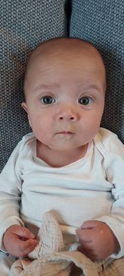 Léon le fils de Lilas