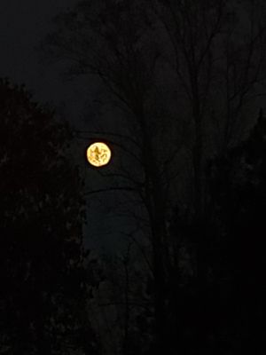 20221107_172127.jpg