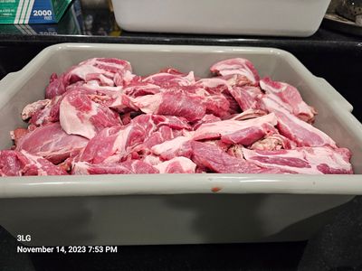 20231114_195304.jpg