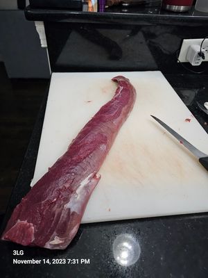 20231114_193148.jpg