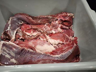 20231114_192746.jpg