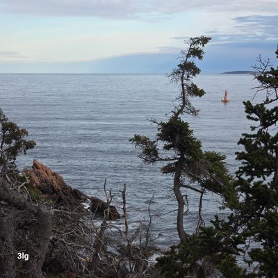 g13/23/512523/3/175444419.cb71330b.JPEG