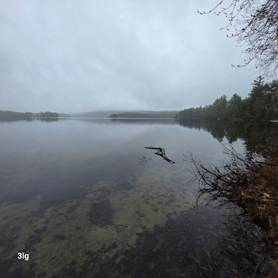 g13/23/512523/3/175446128.d688df1f.JPEG