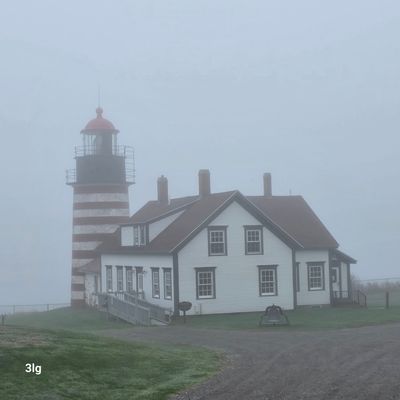 20250507_142632.jpg
