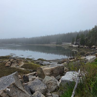 g13/23/512523/3/175446257.b8687360.JPEG