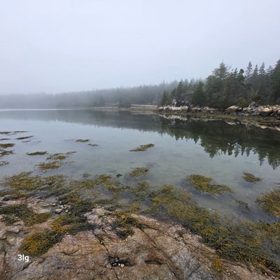 g13/23/512523/3/175446259.ddf38fcf.JPEG