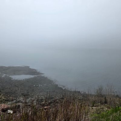 g13/23/512523/3/175449909.ae22adbb.JPEG