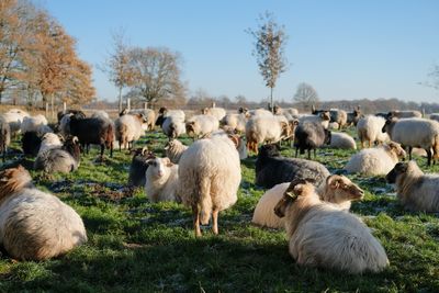 Drenthe, the Netherlands
