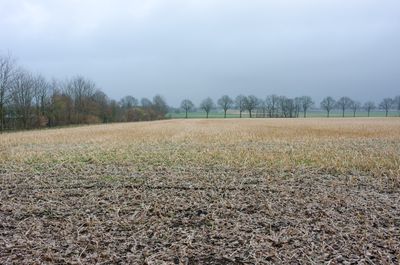 grey weather and lonely fields(1)