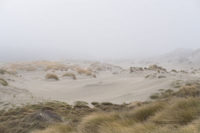 Dune&fog