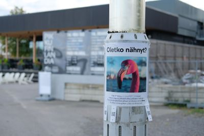 DSCF3447