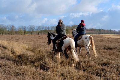 Lunsveen Drenthe 