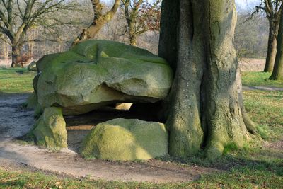 Drenthe, the Netherlands
