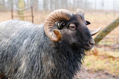 Drenthe, the Netherlands