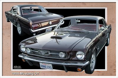 Ford Mustang Gallery