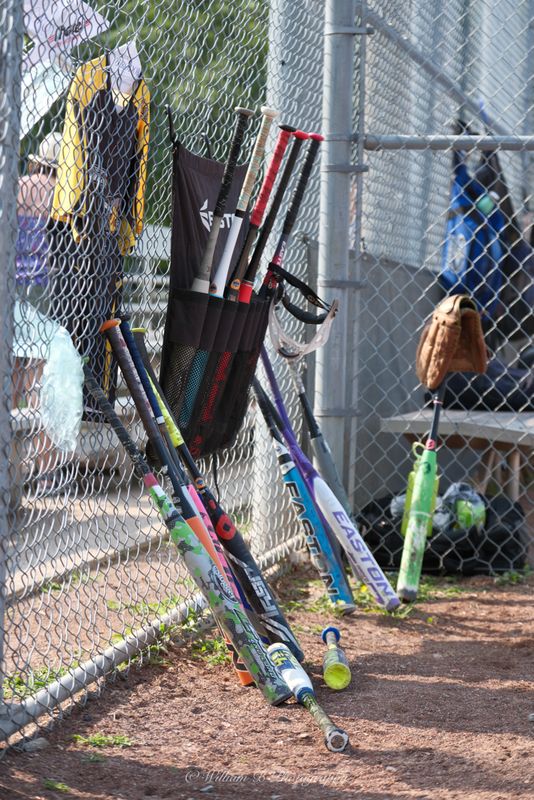 Sian Bradwell Softball Tournament Final-029.jpg