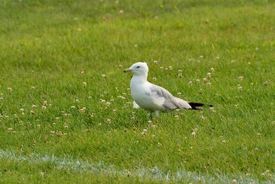DSC_8856.jpg