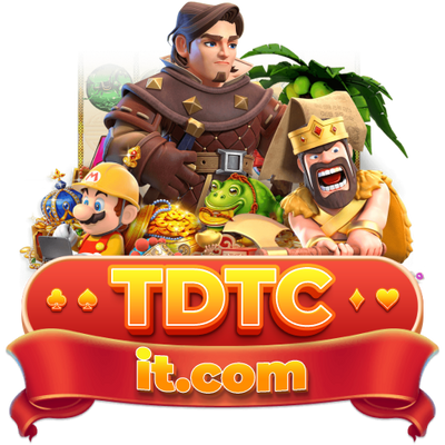 TDTC it com logo.png