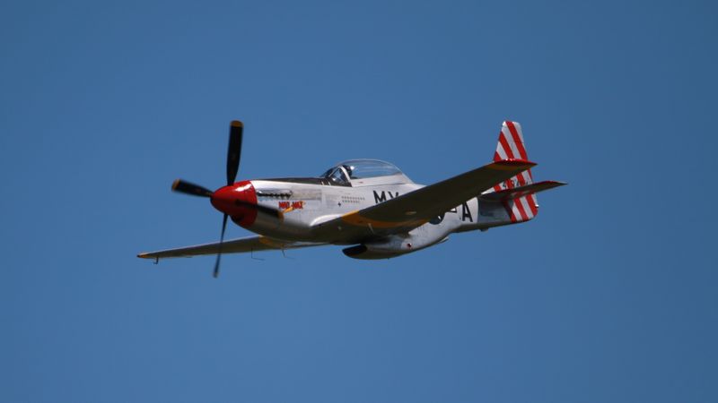 DB7_9866-SAI.JPG