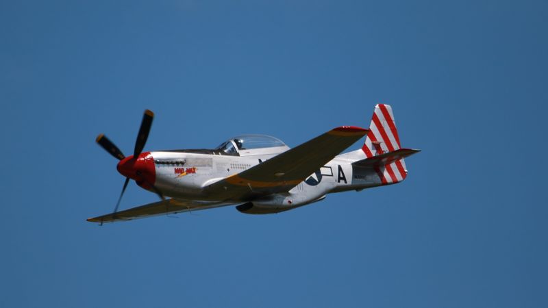 DB7_9867-SAI.JPG