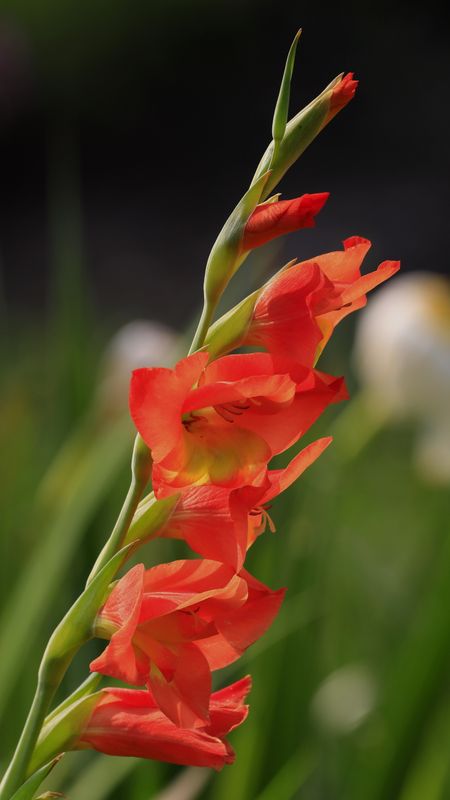 _B5_1607_HD.JPG