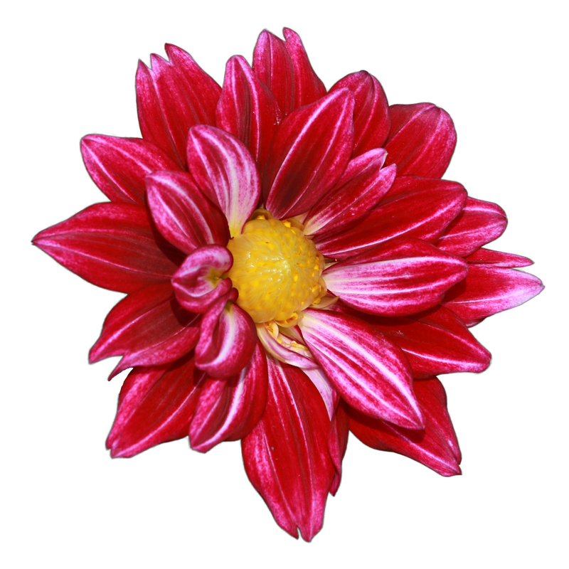 DB7_3310_SQ.png