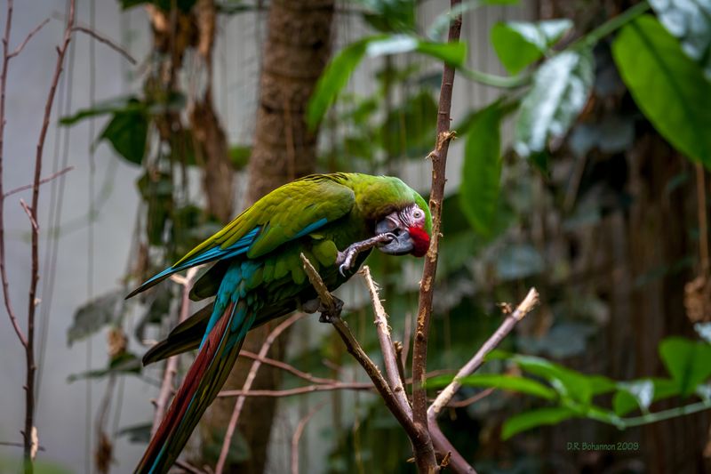 IMG_6785LR.jpg