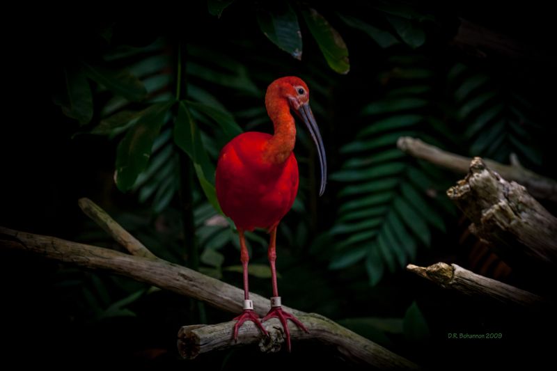 IMG_6816LR.jpg