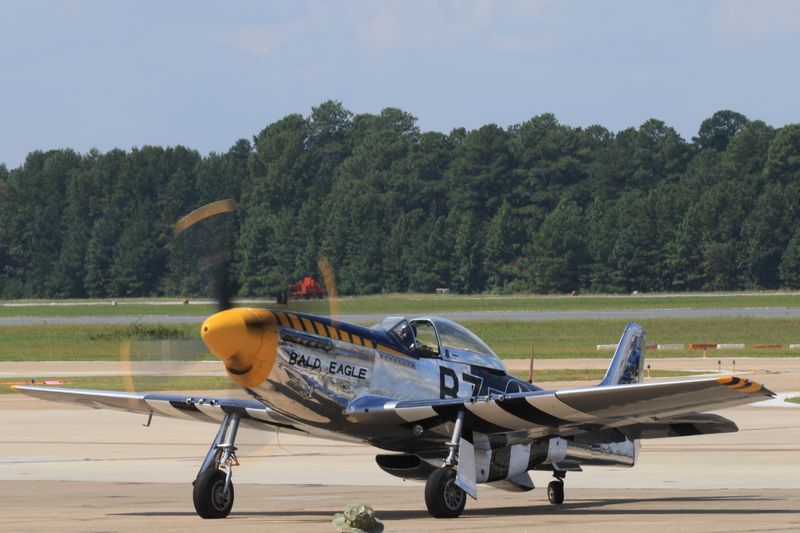 8U3A7136c1.JPG