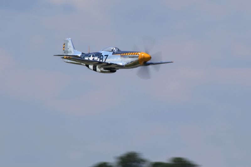 8U3A7606c1.JPG