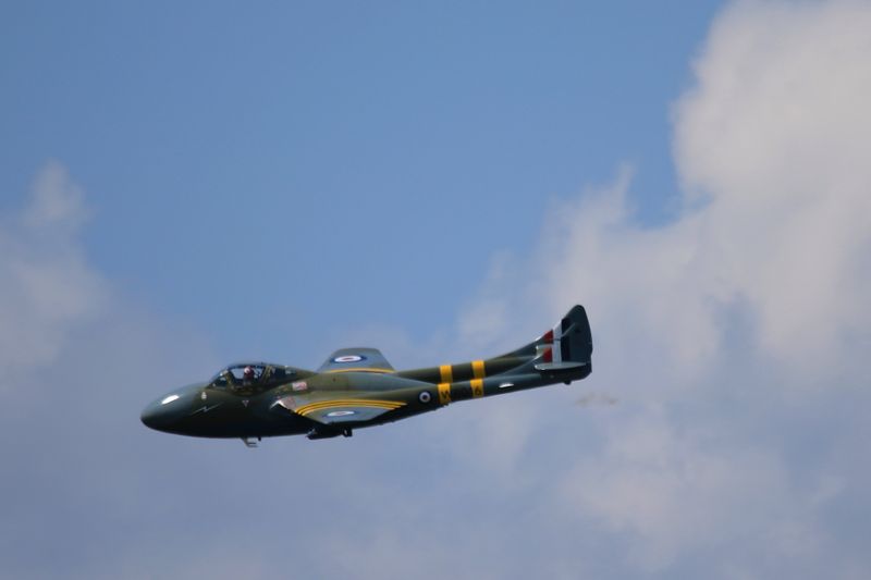 8U3A7665c1.JPG