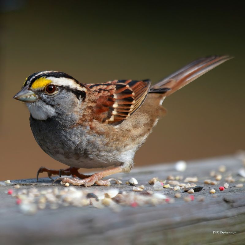 8U3A8233_SQ-SharpenAI-Motion.JPG