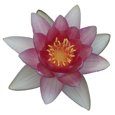 g13/23/8029223/3/175017670.44fab77d.PNG