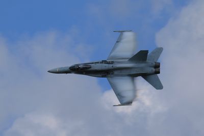 g13/23/8029223/3/175115417.5ab6363f.JPEG