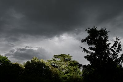 De la lumire dans le gris