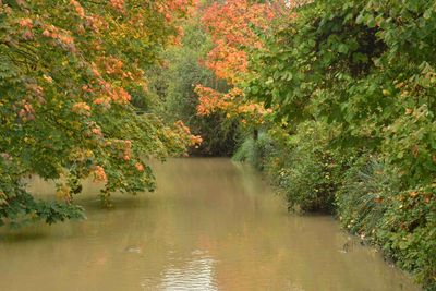 Rivire d'automne