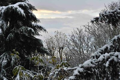 From our window this morning (November 24, 2024)