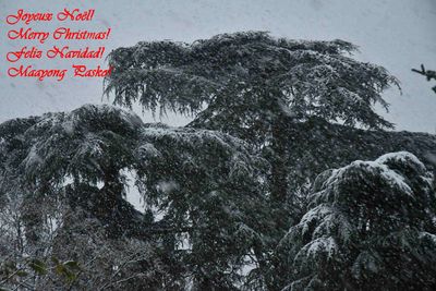 Joyeux Nol !