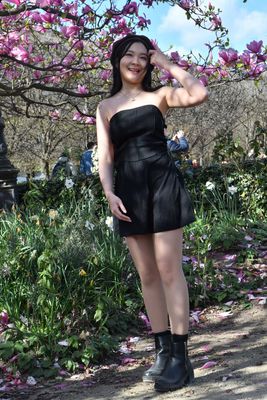 Assis sous les magnolias