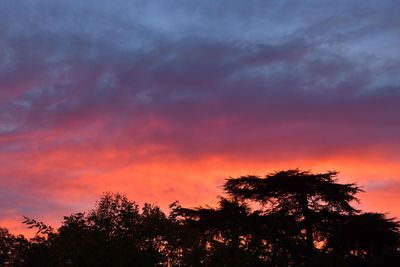 From our window this morning