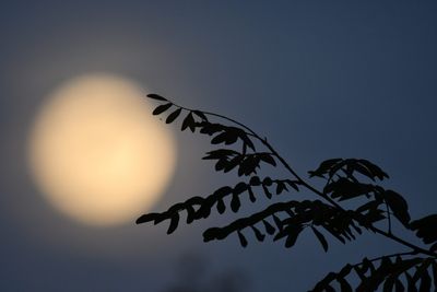 Des photos comme a - Here and there