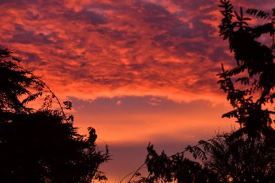 From our window this morning (December 1, 2025)