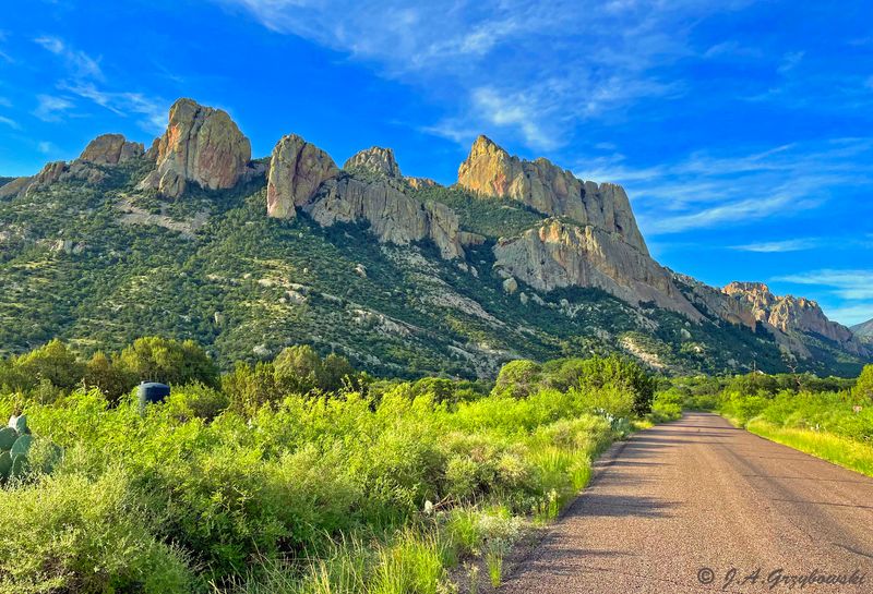 Chiricahua Mountains from Portal